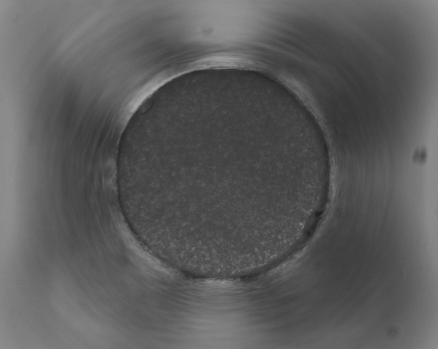 X0000110961465200907311055