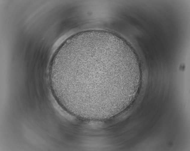 X0000110961466200907311055