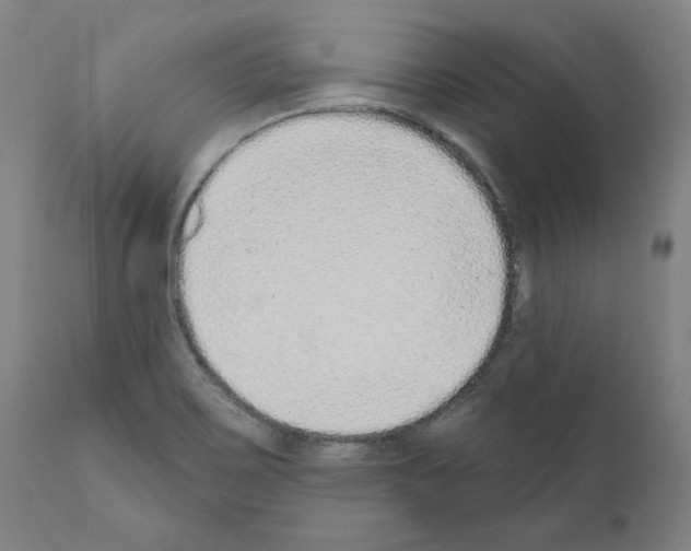 X0000110961467200907311055