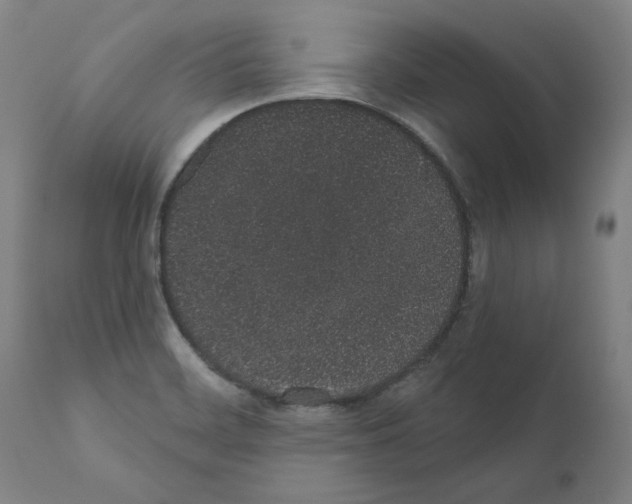 X0000110961468200907311055