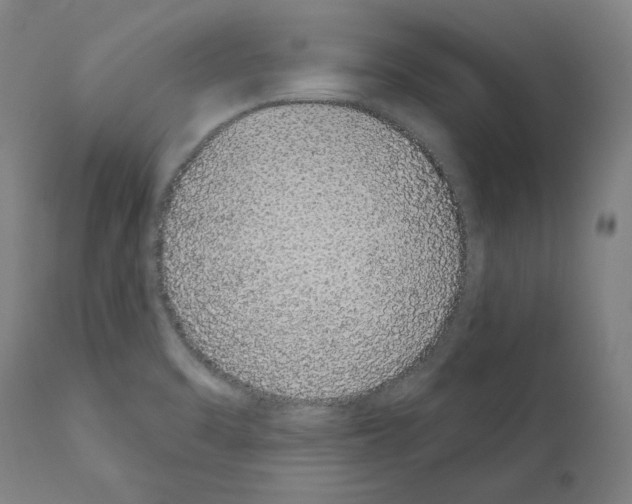 X0000110961470200907311054