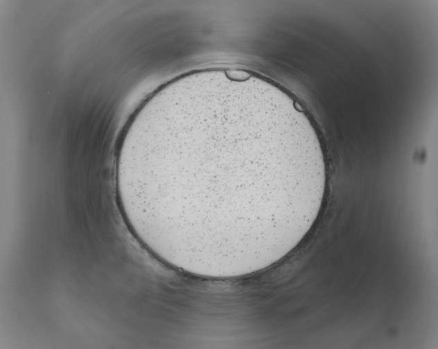 X0000110961472200907311054