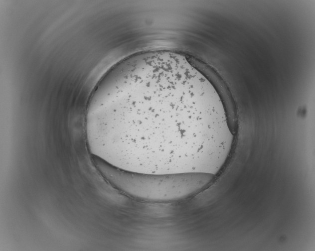 X0000110961473200907311054