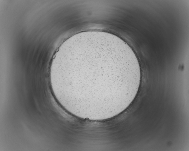 X0000110961475200907311054