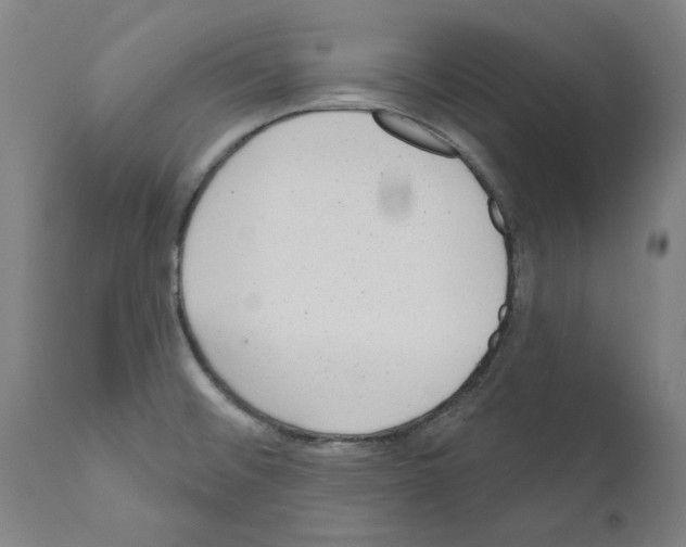 X0000110961476200907311054