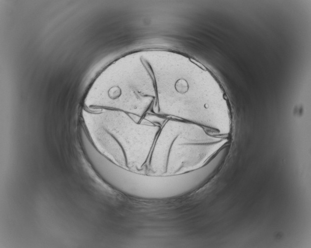 X0000110961477200907311054
