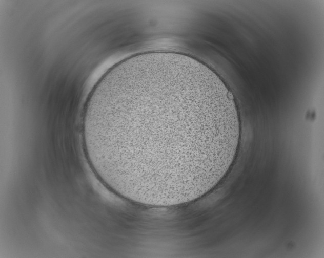 X0000110961478200907311054