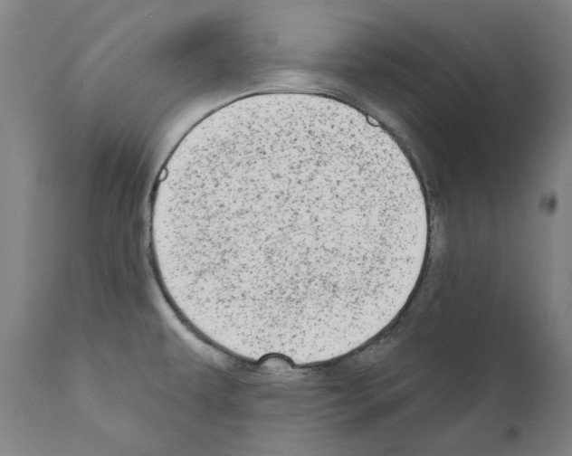 X0000110961479200907311054