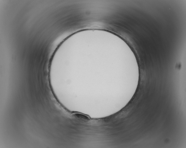 X0000110961480200907311054