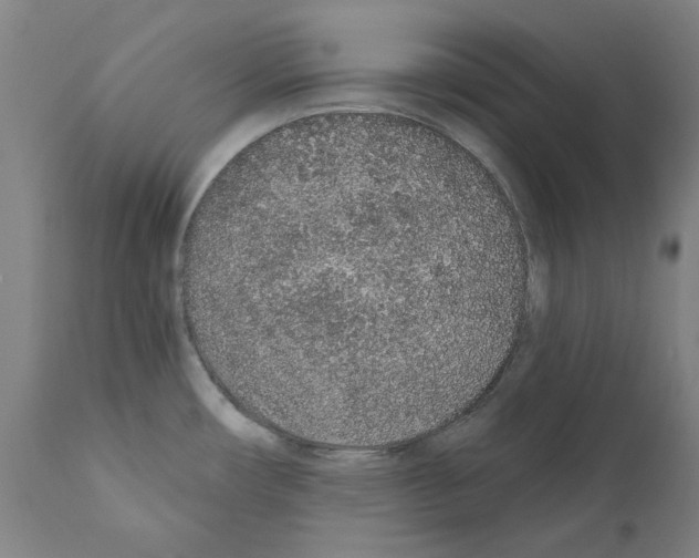 X0000110961482200907311054