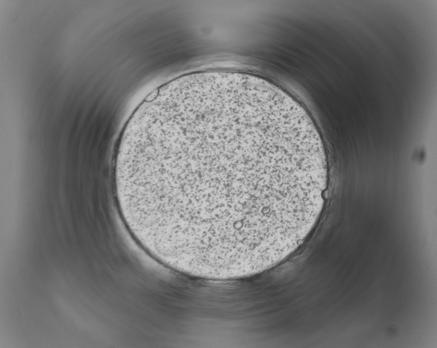 X0000110961483200907311054