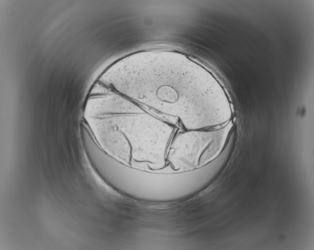 X0000110961484200907311054