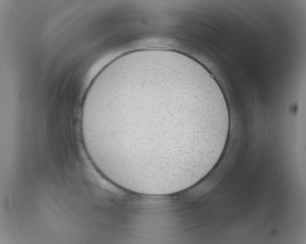 X0000110961486200907311054