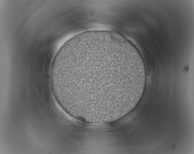 X0000110961487200907311054