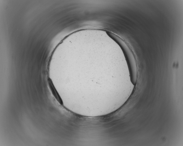 X0000110961488200907311054