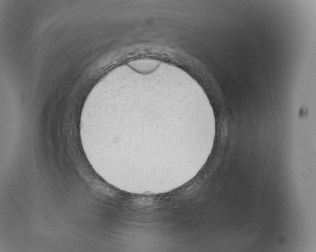 X0000110961489200907311053