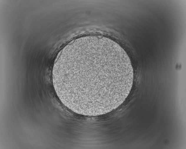 X0000110961490200907311053