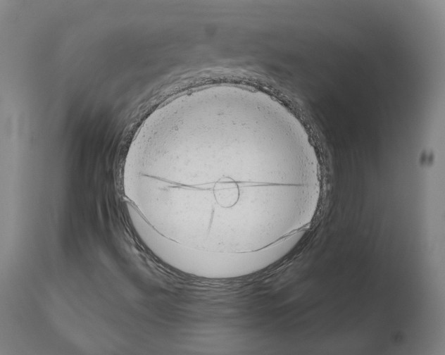 X0000110961492200907311053