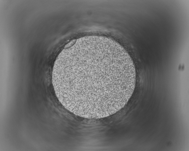 X0000110961493200907311053
