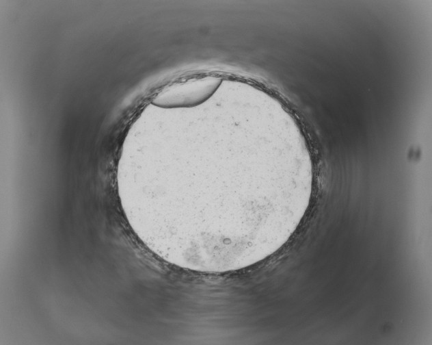X0000110961495200907311053
