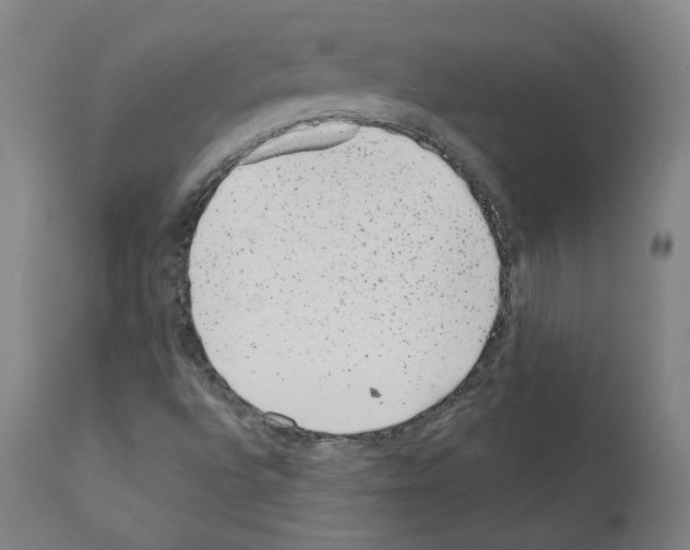 X0000110961496200907311053
