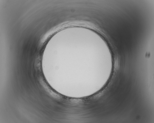 X0000110961498200907311054