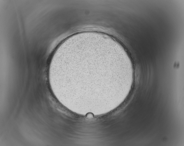 X0000110961501200907311054