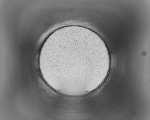 X0000110961502200907311054