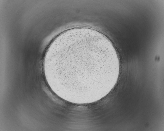 X0000110961503200907311054
