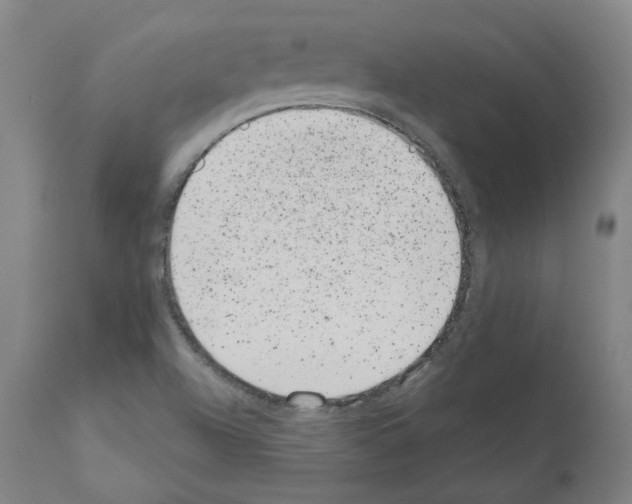 X0000110961504200907311054