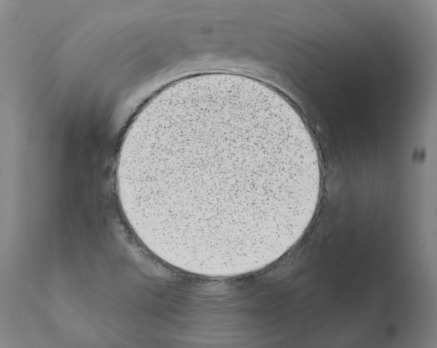 X0000110961507200907311054