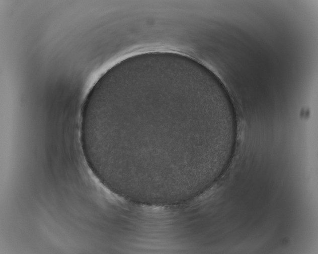 X0000110961508200907311054