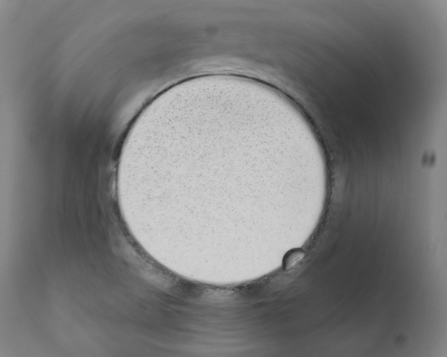 X0000110961509200907311054