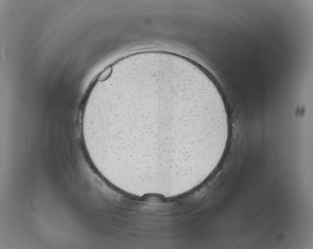 X0000110961510200907311054