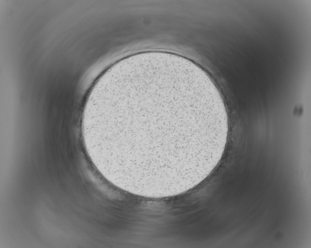 X0000110961511200907311054