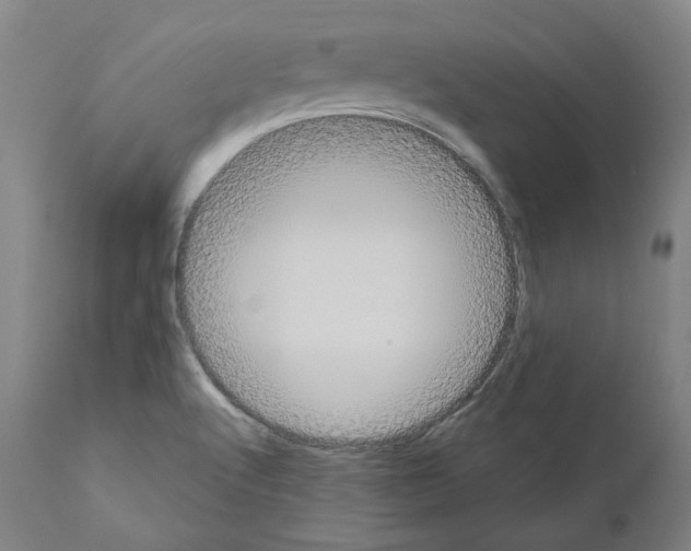 X0000110961512200907311054