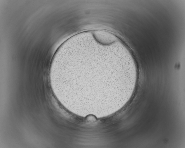 X0000110961513200907311054