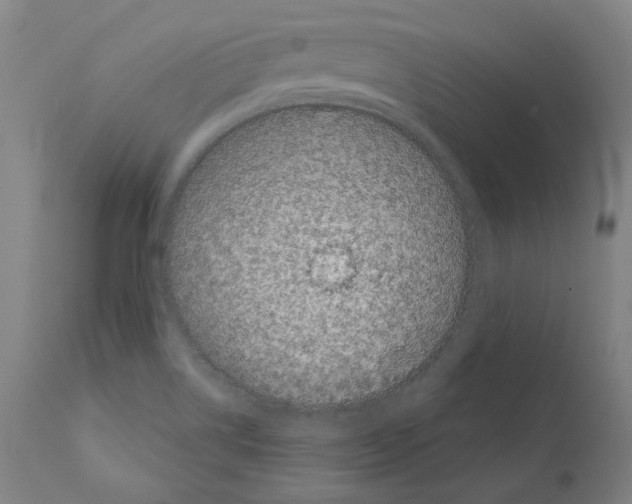 X0000110961514200907311054