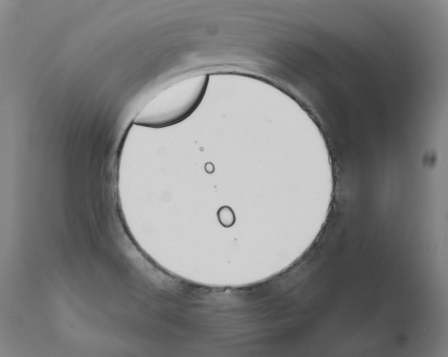 X0000110961516200907311054