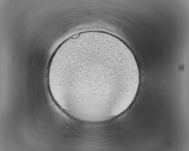 X0000110961518200907311054