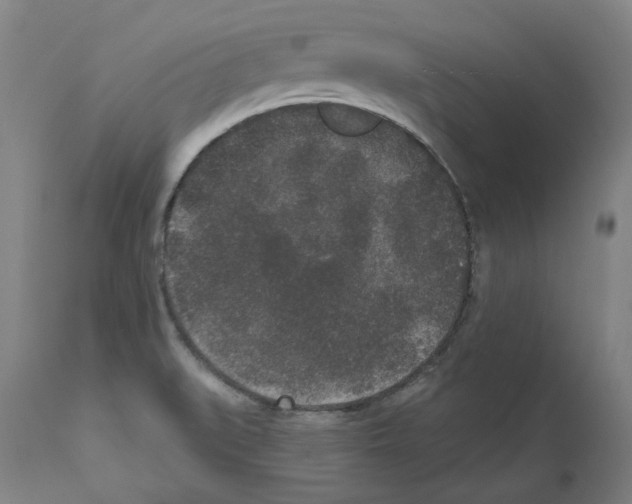 X0000110961519200907311054