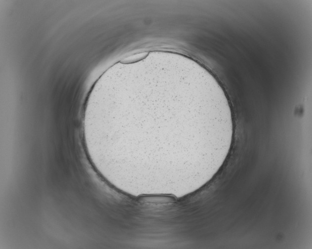 X0000110961520200907311054