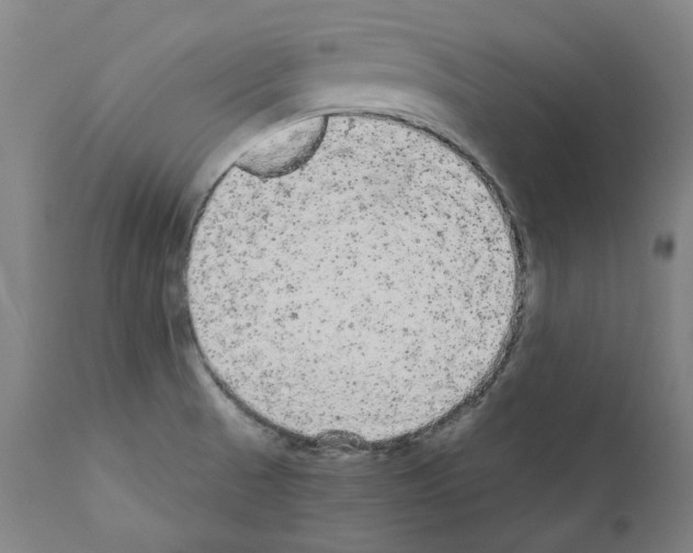 X0000110961521200907311054