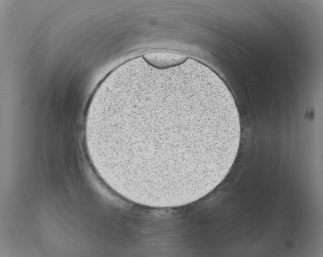 X0000110961523200907311054