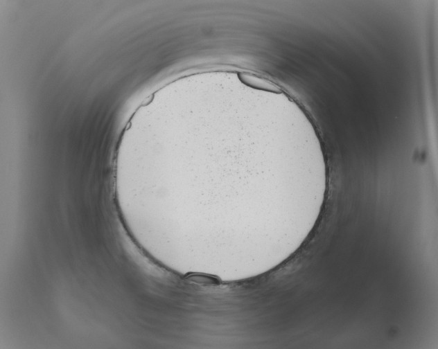 X0000110961524200907311054