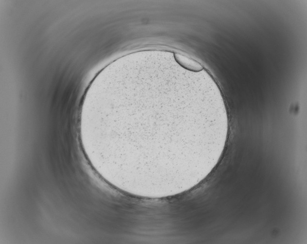 X0000110961526200907311054