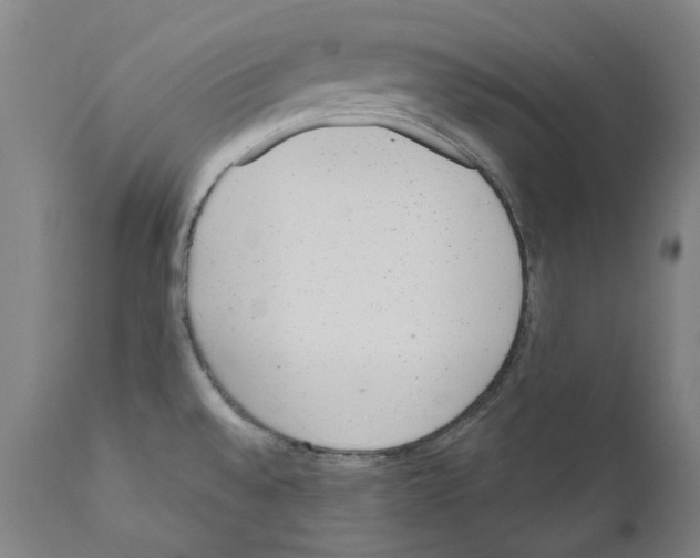 X0000110961528200907311054