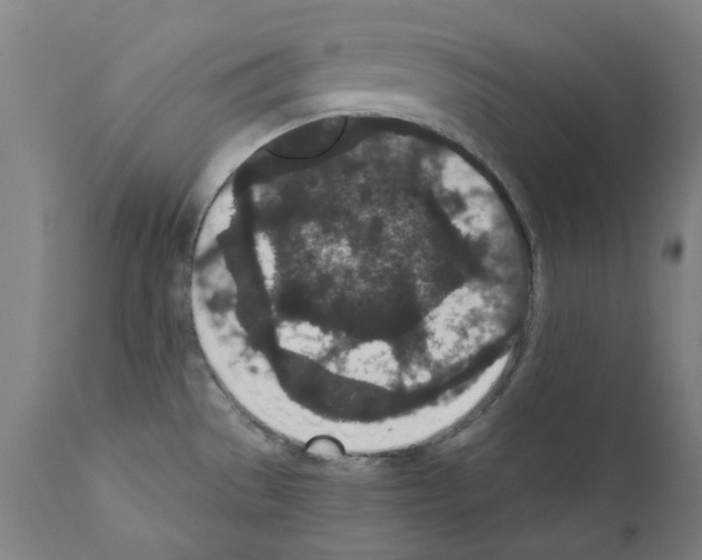 X0000110961529200907311054