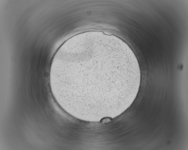 X0000110961531200907311054