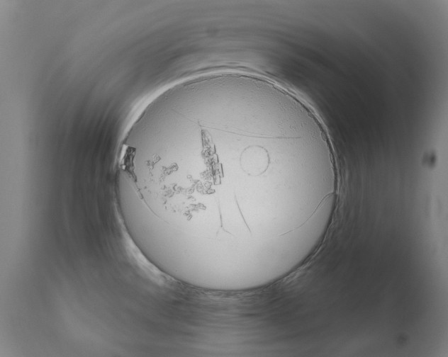 X0000110961532200907311054
